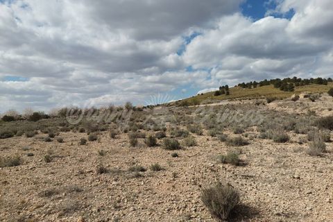Helårsgrund i Caudete, Albacete, Caudete - € 35.000 | Ref: SF0388 - foto 9